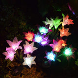 Solar Garden Flower Lights