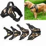 Service Dog Harness