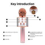 Bluetooth Karaoke Microphone
