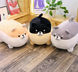 Cute Dog Pillow