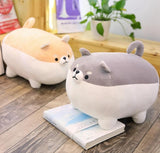Cute Dog Pillow